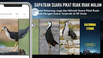 Gambar 0 untuk 