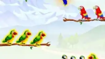 Bird Sort- Color Puzzle Games