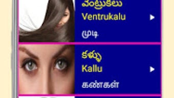 รูปภาพ 0 สำหรับ 