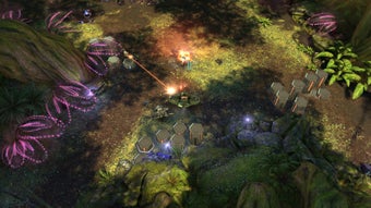  için 0 numaralı resim