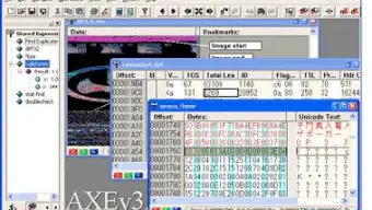 Advanced Hex Editor (A.X.E.)
