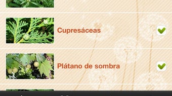Imagen 0 para 