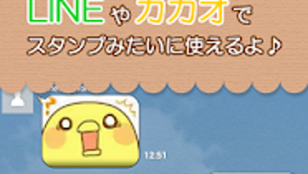 の画像0