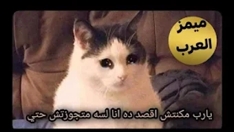 الصورة 0 لـ 
