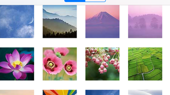 の画像0