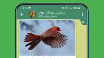 الصورة 0 لـ 