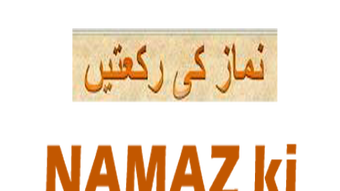 الصورة 0 لـ 