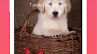 Изображение 0 для 