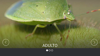 Imagem 0 para 