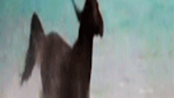 Imagem 0 para 