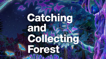 Catching and Collecting Forest