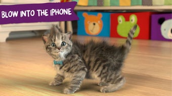 Little Kitten -My Favorite Cat