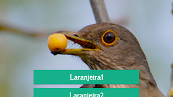 Bild 0 für 