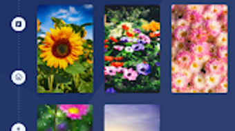 รูปภาพ 0 สำหรับ 