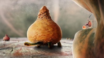 Изображение 0 для 