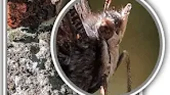 的第0张图片