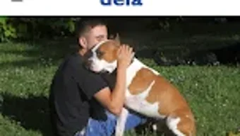 Imagem 0 para 