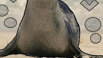 の画像0