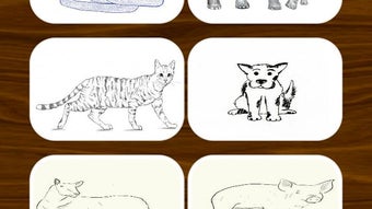 Draw Animals Step by Step