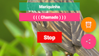 รูปภาพ 0 สำหรับ 