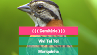 Imagem 0 para 