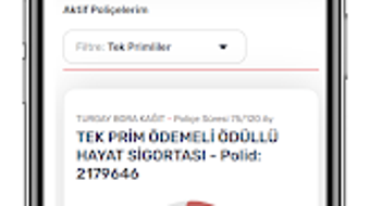  için 0 numaralı resim