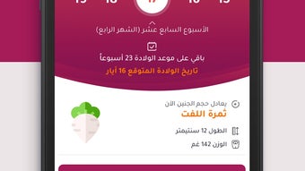 الصورة 0 لـ 