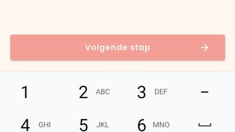 Afbeelding 0 voor 