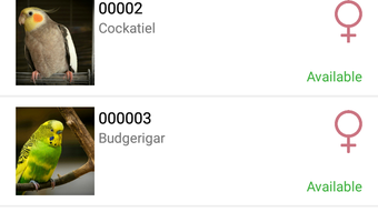 Afbeelding 0 voor 