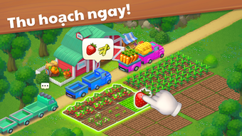 Hình ảnh 0 cho 