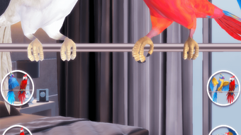 รูปภาพ 0 สำหรับ 