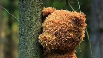 Изображение 0 для 