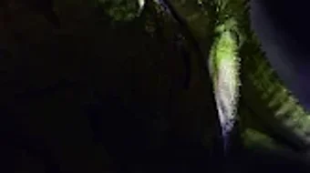 の画像0