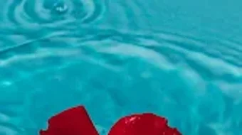 の画像0