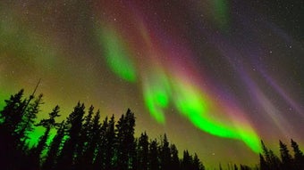  için 0 numaralı resim