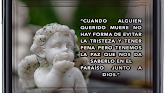 Imagem 0 para 