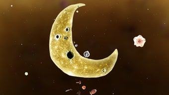 의 이미지 0