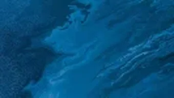 的第0张图片