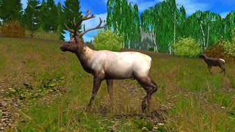 รูปภาพ 0 สำหรับ 