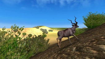  için 0 numaralı resim