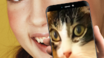 의 이미지 0