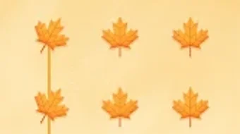 的第0张图片