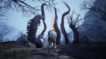الصورة 0 لـ 
