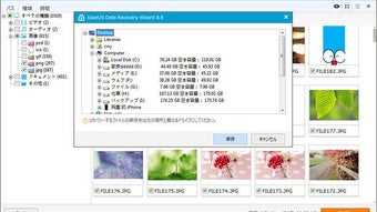 の画像0