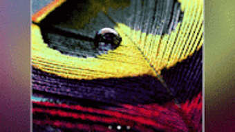 Image 0 for 