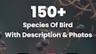 Bird ID - Picture Identifier