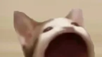 の画像0