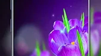 الصورة 0 لـ 