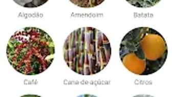 Imagem 0 para 