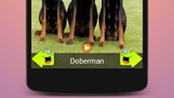 Afbeelding 0 voor 